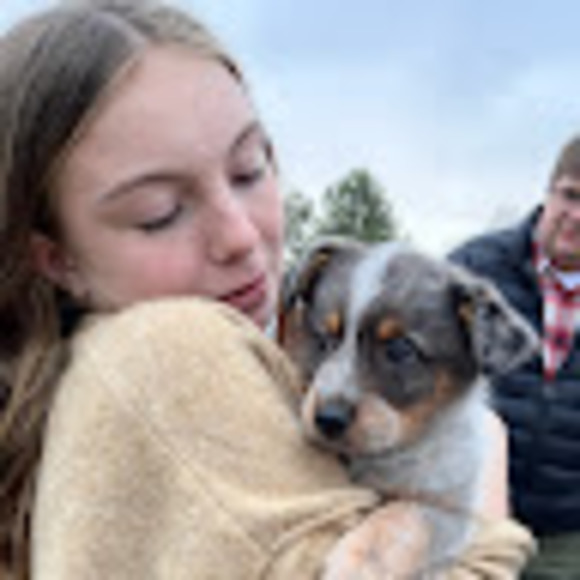 Meet your Posher, Katelyn - Picture 1 of 1